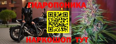 твердый Краснокаменск