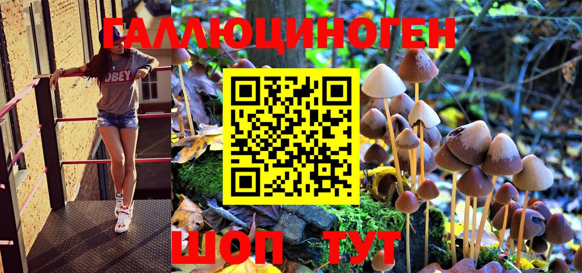 Псилоцибиновые грибы Psilocybe Серпухов
